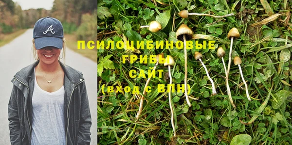 MESCALINE Абаза
