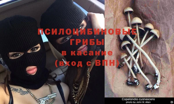 Альфа ПВП Абдулино