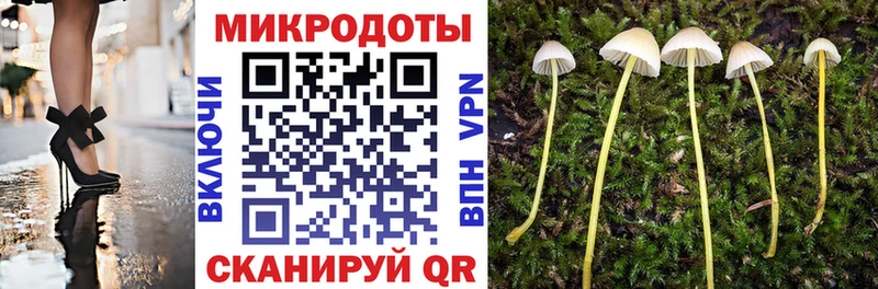 цена   Саранск  Псилоцибиновые грибы мухоморы 