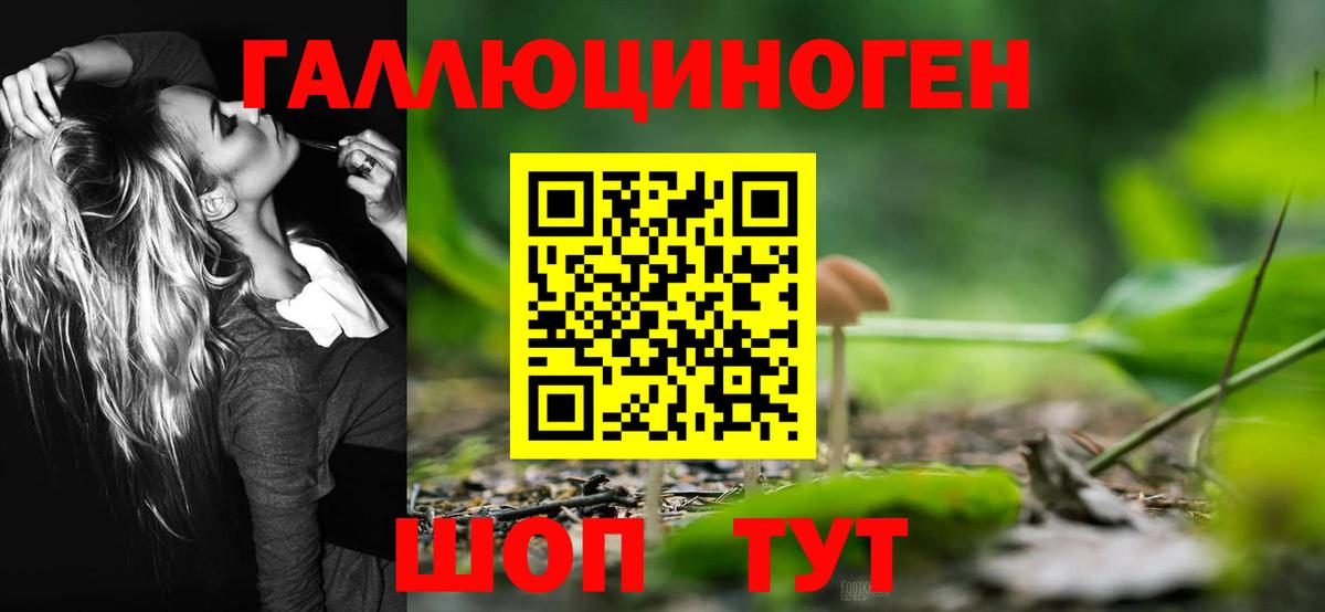 Саранск  Псилоцибиновые грибы Cubensis  Вход с VPN  Галлюциногенные грибы прущие грибы 